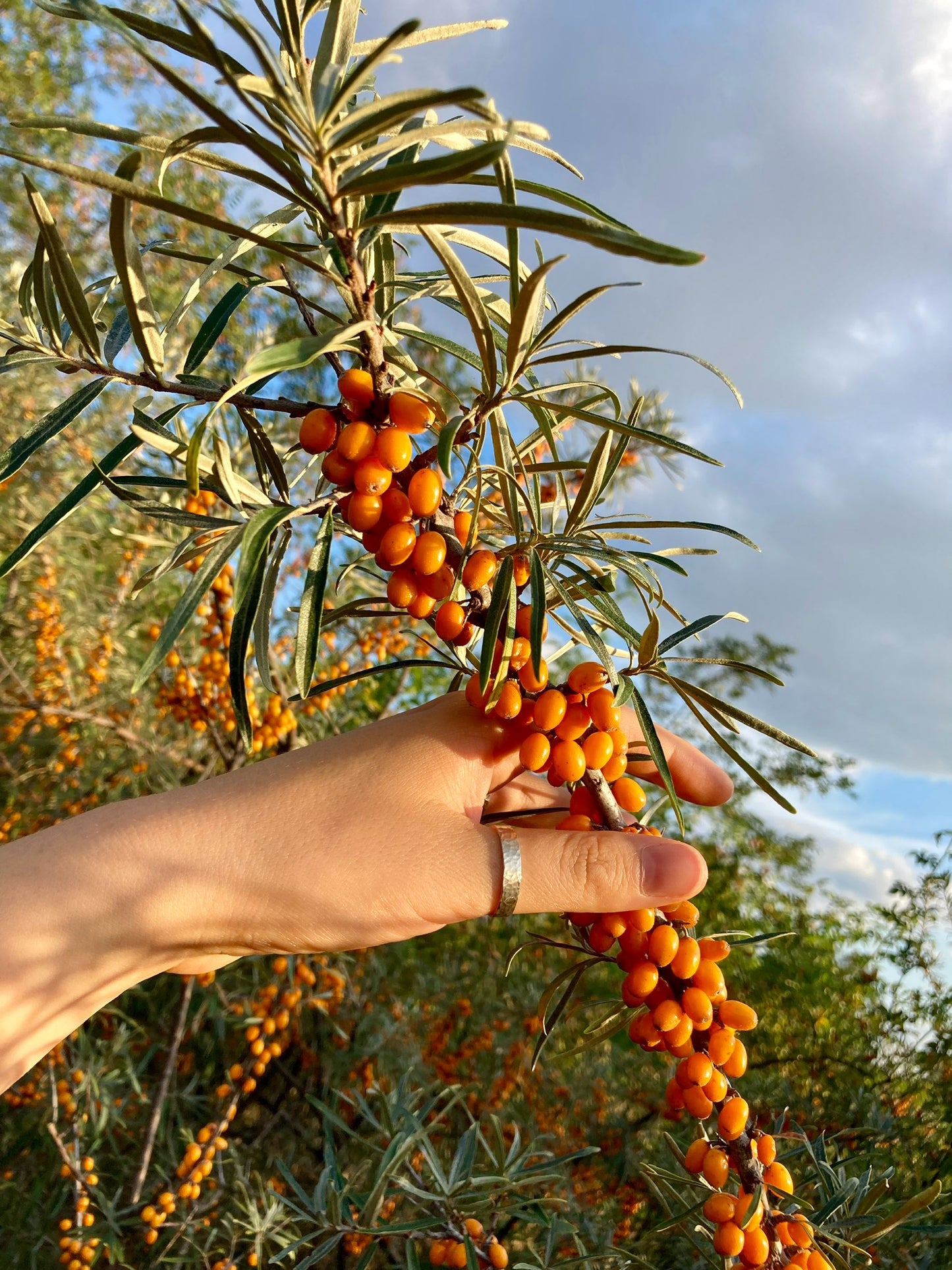 Chunky Hammered Silver Unisex Ring - Handmade Artisan Jewelry