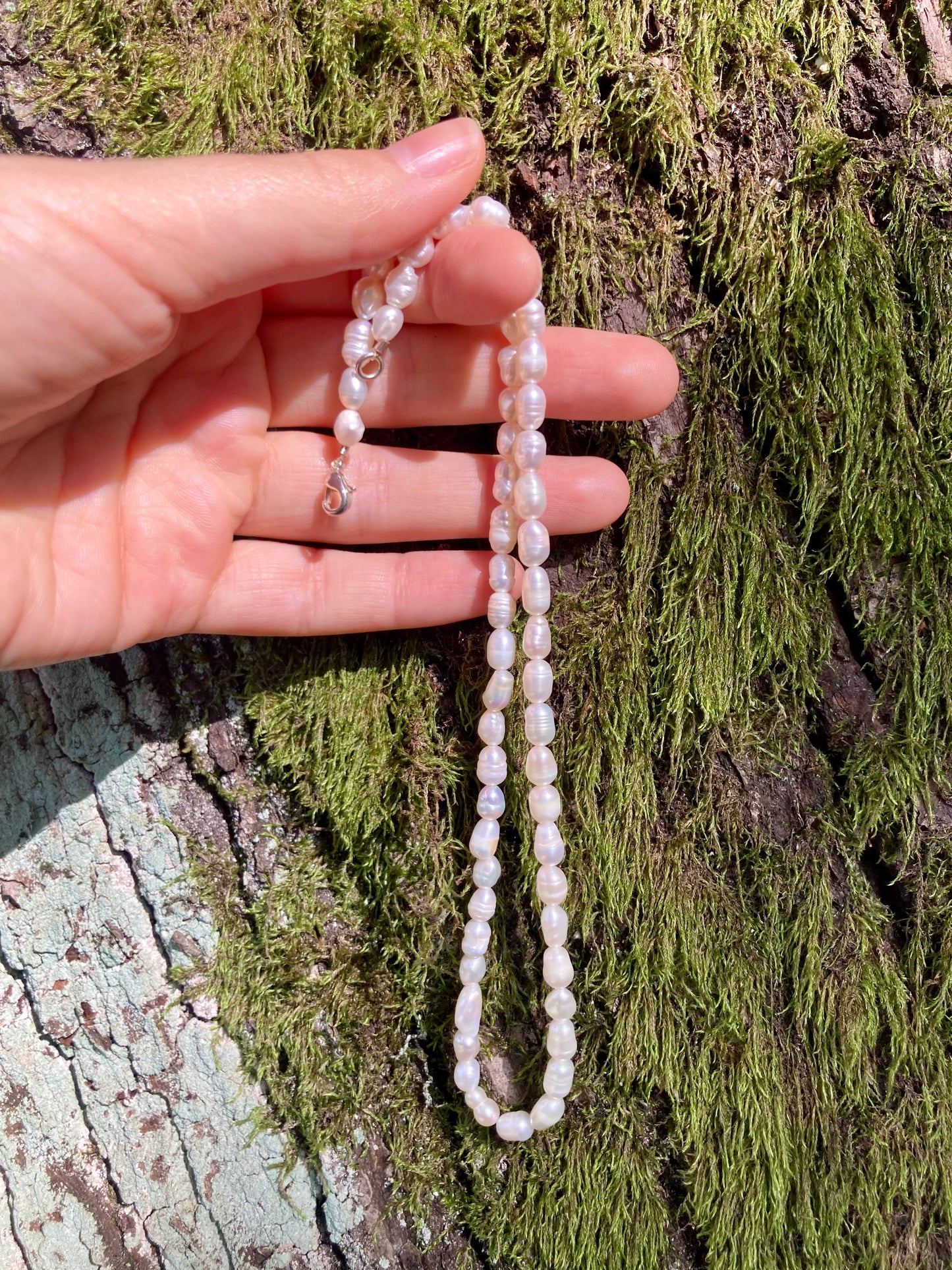 Black or White Rice-shaped Freshwater Pearl Necklace with 925 Silver Clasp