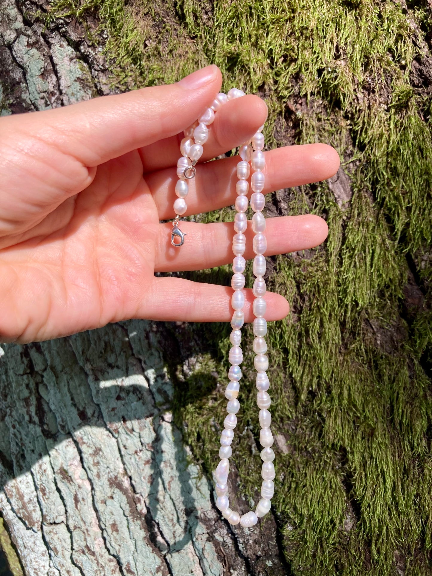 Black or White Rice-shaped Freshwater Pearl Necklace with 925 Silver Clasp